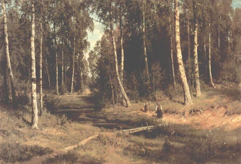 Ivan Shishkin Brook in a Birch Grove oil painting picture